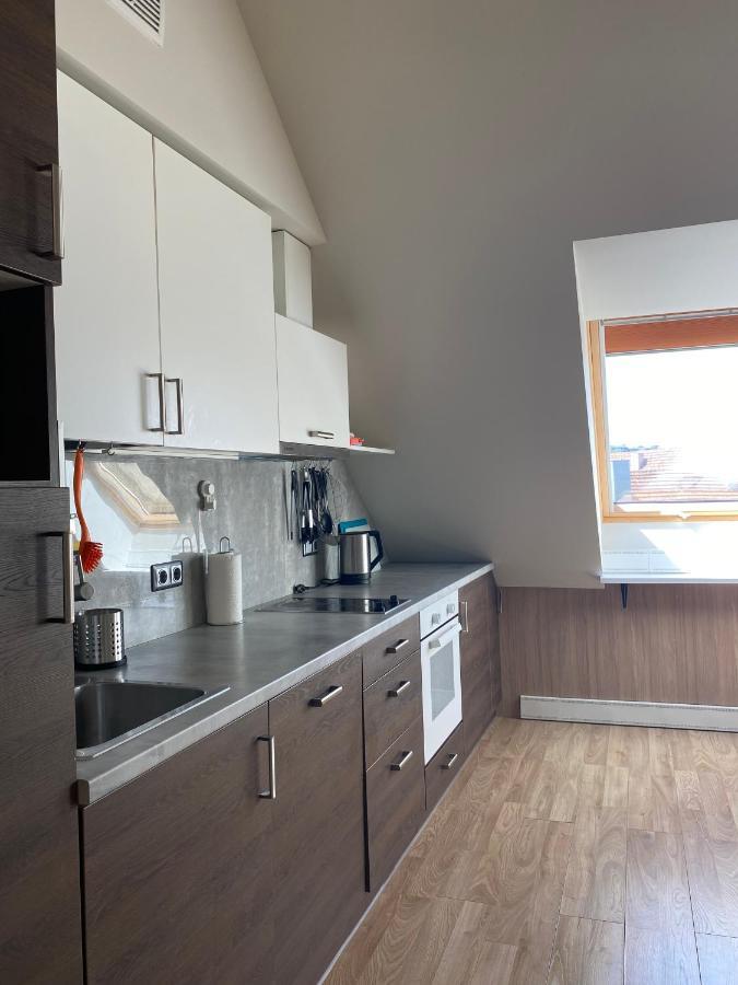 Old Town View Apartment Vilnius Luaran gambar